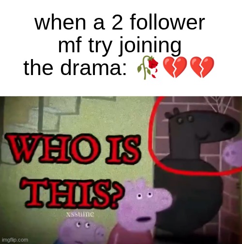 who was calling their name | when a 2 follower mf try joining the drama: 🥀💔💔 | image tagged in who is this | made w/ Imgflip meme maker