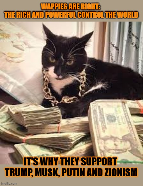 This #lolcat wonders why hoo-mens support the same people they blame for everything | WAPPIES ARE RIGHT: 
THE RICH AND POWERFUL CONTROL THE WORLD; IT'S WHY THEY SUPPORT 
TRUMP, MUSK, PUTIN AND ZIONISM | image tagged in elite,wappies,stupid people,lolcat | made w/ Imgflip meme maker