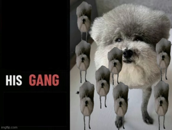 his gang | image tagged in you have been eternally cursed for reading the tags | made w/ Imgflip meme maker