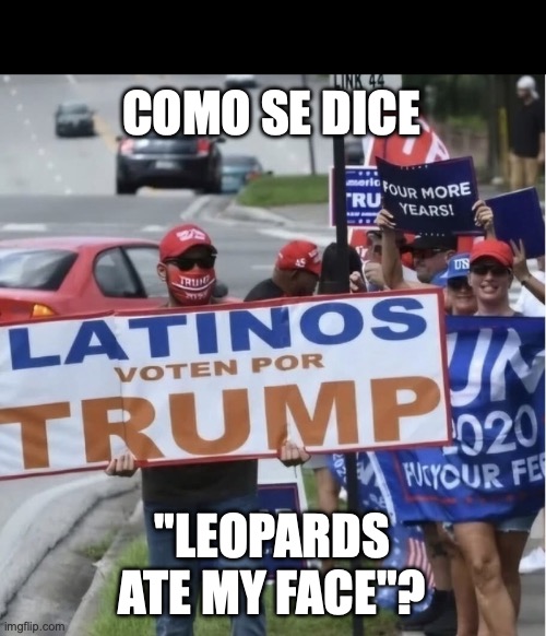 O no, los leopardos se comieron mi cara! | COMO SE DICE; "LEOPARDS ATE MY FACE"? | image tagged in sad latinos for trump,leopard,donald trump,trump immigration policy,clown car republicans | made w/ Imgflip meme maker
