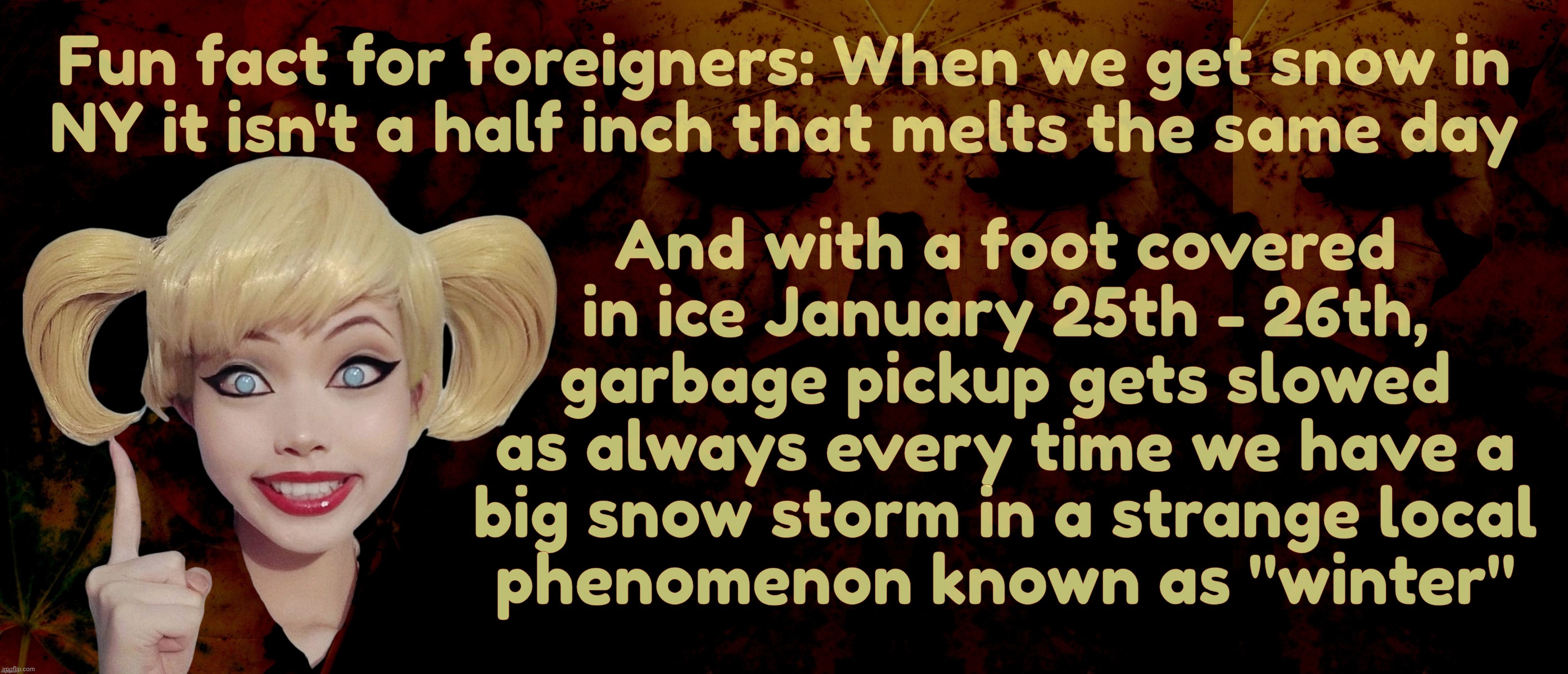Fun fact for foreigners: When we get snow in
NY it isn't a half inch that melts the same day And with a foot covered in ice January 25th - 2 | image tagged in harley quinn | made w/ Imgflip meme maker