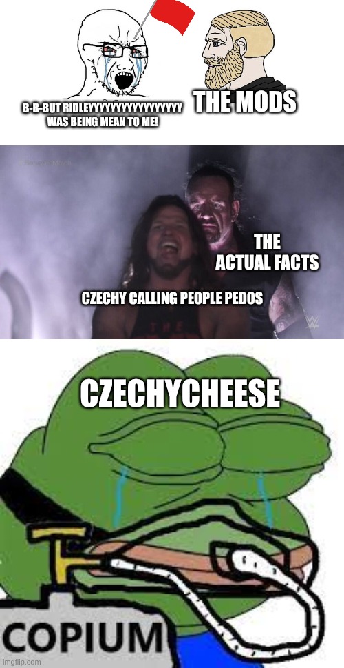 copium | THE MODS; B-B-BUT RIDLEYYYYYYYYYYYYYYYYY WAS BEING MEAN TO ME! THE ACTUAL FACTS; CZECHY CALLING PEOPLE PEDOS; CZECHYCHEESE | image tagged in copium | made w/ Imgflip meme maker
