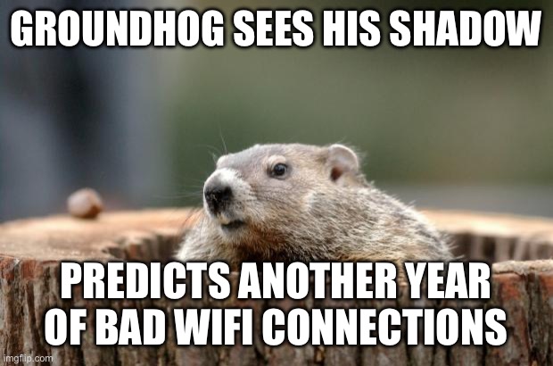 Why does he always have to be right? | GROUNDHOG SEES HIS SHADOW; PREDICTS ANOTHER YEAR OF BAD WIFI CONNECTIONS | image tagged in groundhog | made w/ Imgflip meme maker
