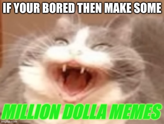 cat | IF YOUR BORED THEN MAKE SOME; MILLION DOLLA MEMES | image tagged in cat | made w/ Imgflip meme maker