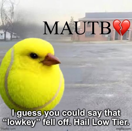 Mods Asleep, Upvote Tennis Bird | I guess you could say that “lowkey” fell off. Hail Low Tier. | image tagged in mods asleep upvote tennis bird | made w/ Imgflip meme maker