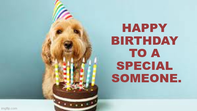 Happy Birthday to a special someone. | HAPPY 
BIRTHDAY 
TO A 
SPECIAL 
SOMEONE. | image tagged in doggie birthday,happy birthday | made w/ Imgflip meme maker