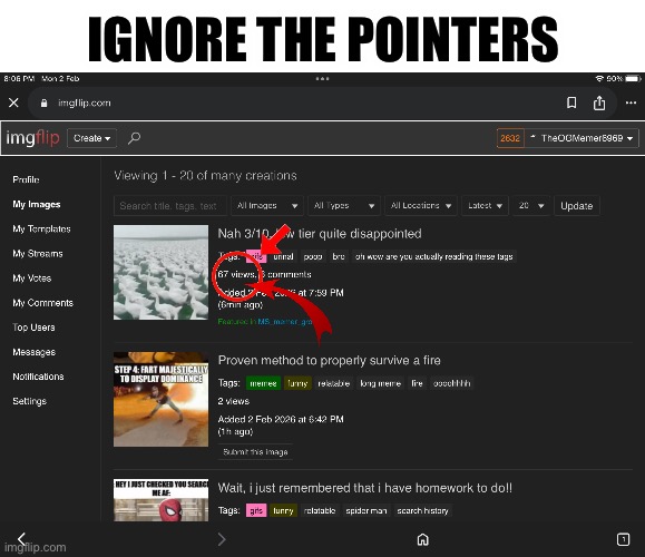 Ignore the pointers!! | IGNORE THE POINTERS | image tagged in point,imgflip | made w/ Imgflip meme maker