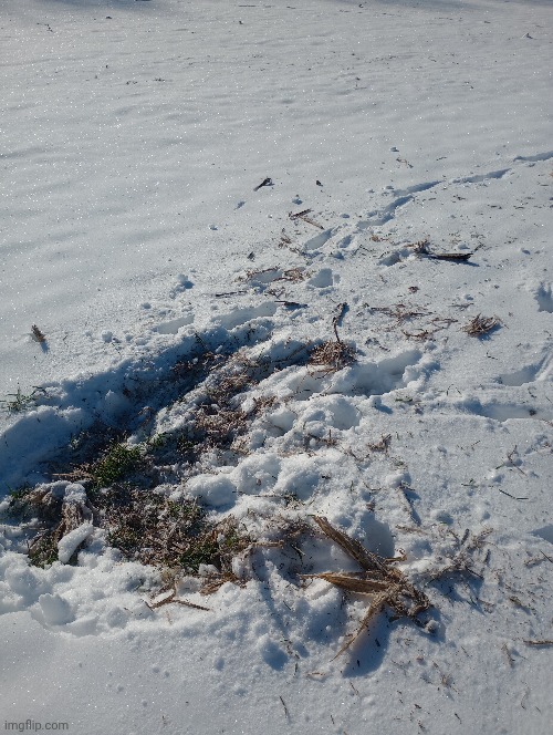 deer were eating | made w/ Imgflip meme maker