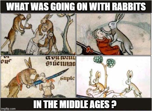 Medieval Killer Rabbits ! | WHAT WAS GOING ON WITH RABBITS; IN THE MIDDLE AGES ? | image tagged in medieval,killer,rabbits | made w/ Imgflip meme maker