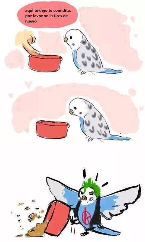 punk bird Blank Meme Template