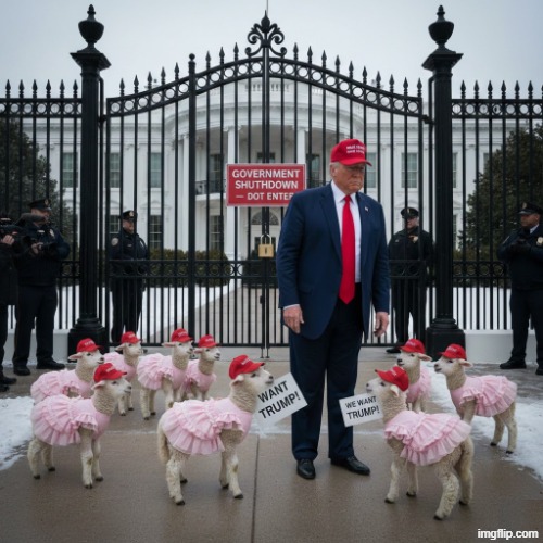 GOVERNMENT SHUTDOWN 2026 - PART 1 | image tagged in trump,maga,make america great again,government shutdown,government corruption,jeffrey epstein | made w/ Imgflip meme maker