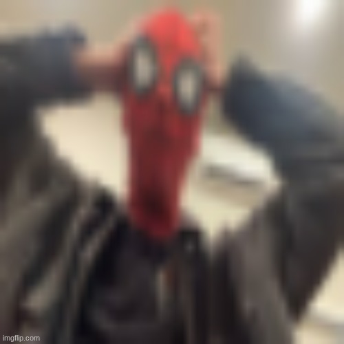 Low quality Spider-Man WHAAAT | image tagged in low quality spider-man whaaat | made w/ Imgflip meme maker