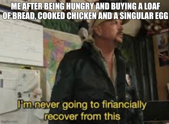It truely is like that isn’t it? | ME AFTER BEING HUNGRY AND BUYING A LOAF OF BREAD, COOKED CHICKEN AND A SINGULAR EGG | image tagged in i am never going to recover from this | made w/ Imgflip meme maker