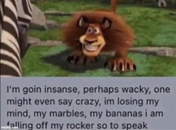 Madagascar insane | image tagged in madagascar insane | made w/ Imgflip meme maker