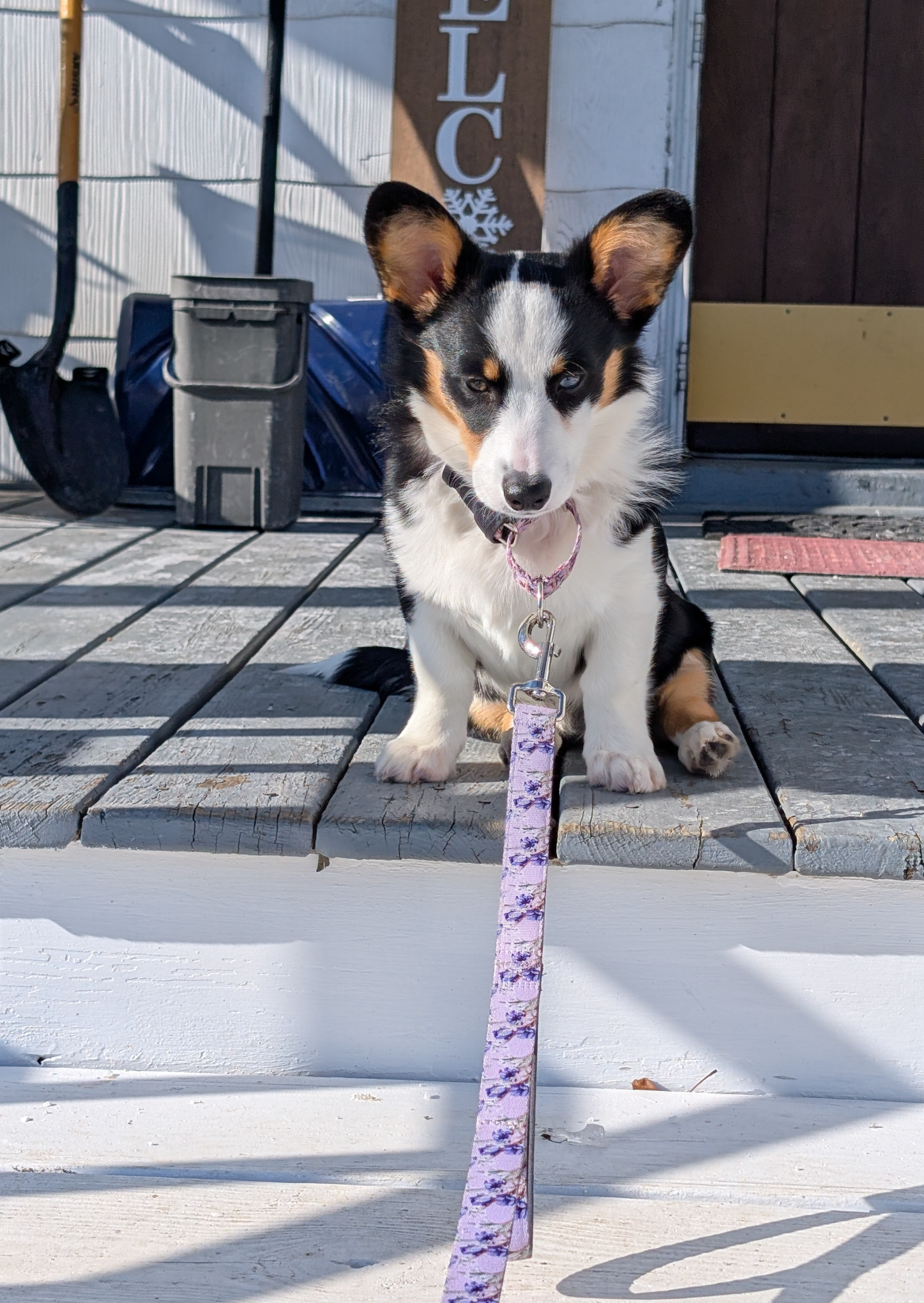 Freya Cold Blank Meme Template