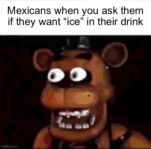 I hate ICE | Mexicans when you ask them if they want “ice” in their drink | image tagged in shocked freddy fazbear | made w/ Imgflip meme maker
