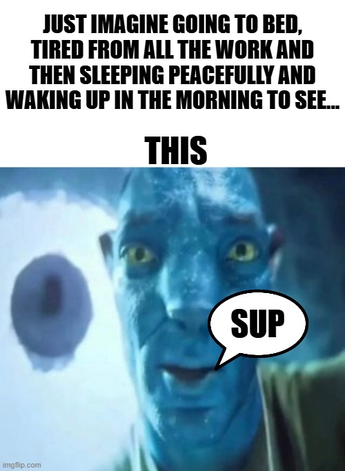 Random ahh thought PT: 1 | JUST IMAGINE GOING TO BED, TIRED FROM ALL THE WORK AND THEN SLEEPING PEACEFULLY AND WAKING UP IN THE MORNING TO SEE... THIS; SUP | image tagged in avatar guy,random bullshit go,goofy ahh,avatar | made w/ Imgflip meme maker