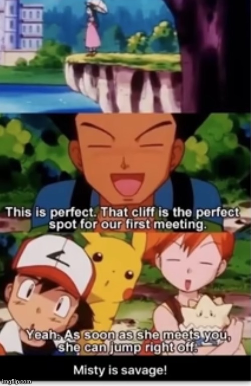 image tagged in pokemon,brock,misty,insult,suicide,cliff | made w/ Imgflip meme maker