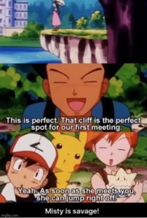 image tagged in pokemon,brock,misty,insults,suicide,cliff | made w/ Imgflip meme maker