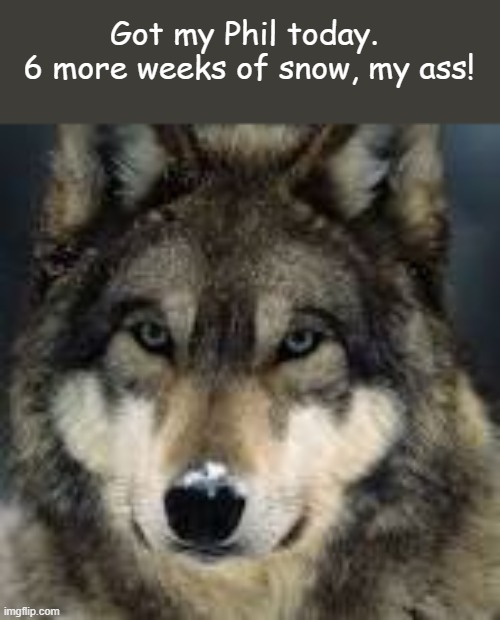 humor | Got my Phil today. 
6 more weeks of snow, my ass! | image tagged in groundhog day | made w/ Imgflip meme maker