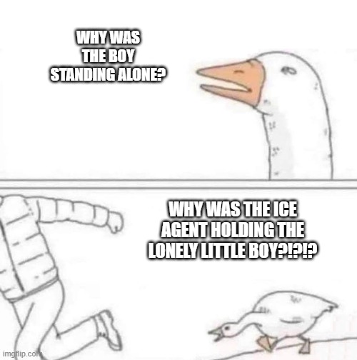 Goose Chase | WHY WAS THE BOY STANDING ALONE? WHY WAS THE ICE AGENT HOLDING THE LONELY LITTLE BOY?!?!? | image tagged in goose chase | made w/ Imgflip meme maker