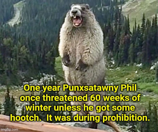 Groundhog yelling | One year Punxsatawny Phil once threatened 60 weeks of winter unless he got some hootch.  It was during prohibition. | image tagged in groundhog yelling | made w/ Imgflip meme maker