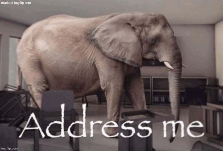 Address me | image tagged in address me | made w/ Imgflip meme maker