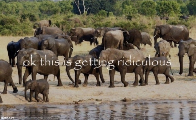 ok this is getting ridiculous | image tagged in ok this is getting ridiculous | made w/ Imgflip meme maker