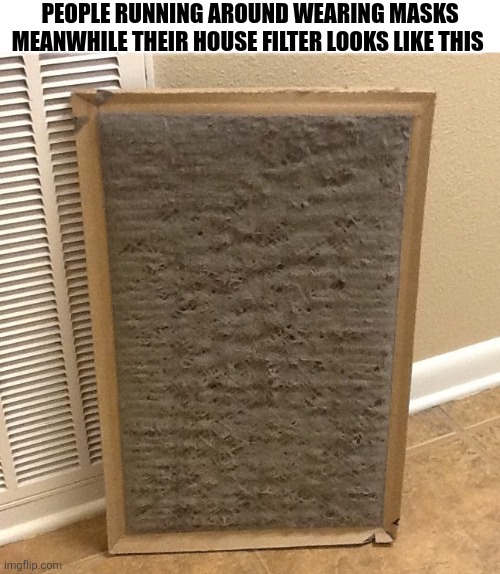 People Running Around Wearing Masks | PEOPLE RUNNING AROUND WEARING MASKS MEANWHILE THEIR HOUSE FILTER LOOKS LIKE THIS | image tagged in chrisjoines1 | made w/ Imgflip meme maker