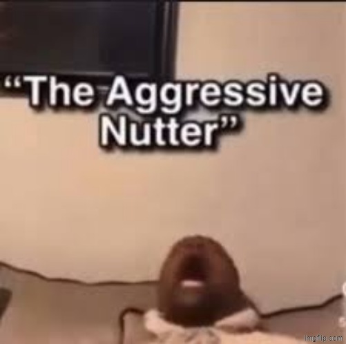 the aggressive nutter | image tagged in the aggressive nutter | made w/ Imgflip meme maker