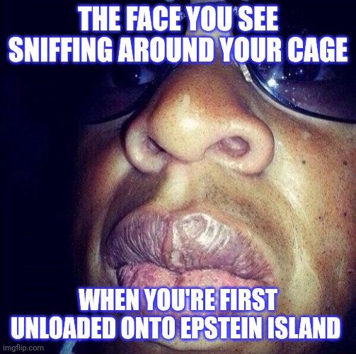 99 problems for Jay Z | THE FACE YOU SEE SNIFFING AROUND YOUR CAGE; WHEN YOU'RE FIRST UNLOADED ONTO EPSTEIN ISLAND | image tagged in jay z lips,jeffrey epstein | made w/ Imgflip meme maker