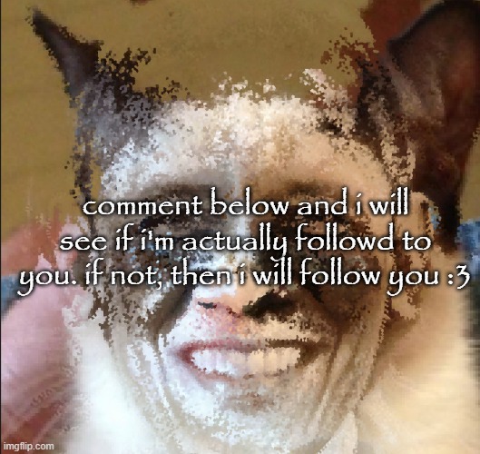 Cat obama | comment below and i will see if i'm actually followd to you. if not, then i will follow you :3 | image tagged in cat obama | made w/ Imgflip meme maker