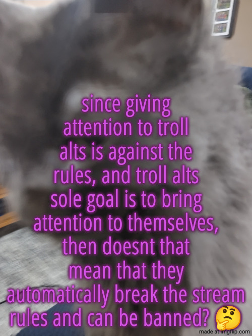 32's Cat | since giving attention to troll alts is against the rules, and troll alts sole goal is to bring attention to themselves, then doesnt that mean that they automatically break the stream rules and can be banned? 🤔 | image tagged in 32's cat | made w/ Imgflip meme maker