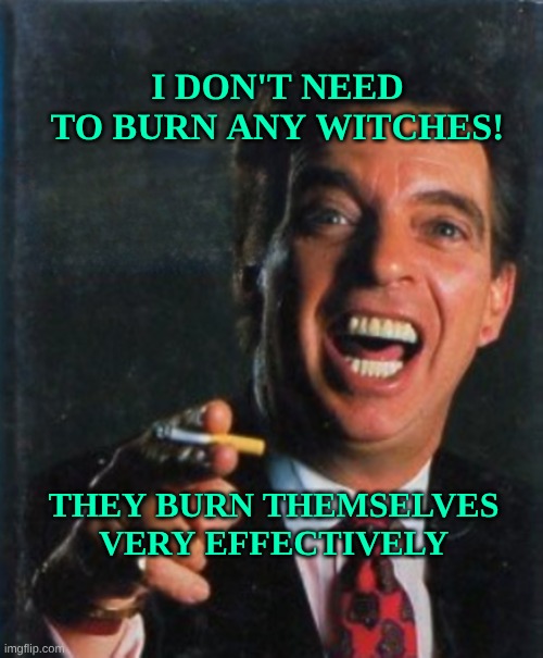 I DON'T NEED TO BURN ANY WITCHES! THEY BURN THEMSELVES VERY EFFECTIVELY | image tagged in morton downy jr | made w/ Imgflip meme maker