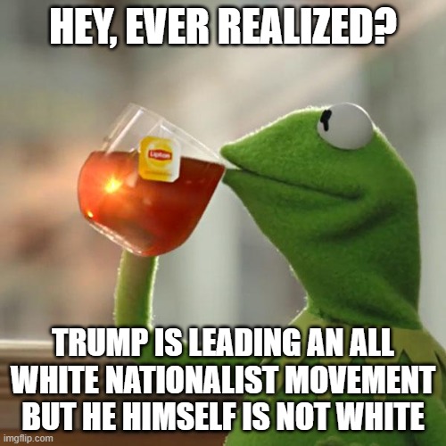 But That's None Of My Business | HEY, EVER REALIZED? TRUMP IS LEADING AN ALL WHITE NATIONALIST MOVEMENT BUT HE HIMSELF IS NOT WHITE | image tagged in memes,but that's none of my business,kermit the frog | made w/ Imgflip meme maker