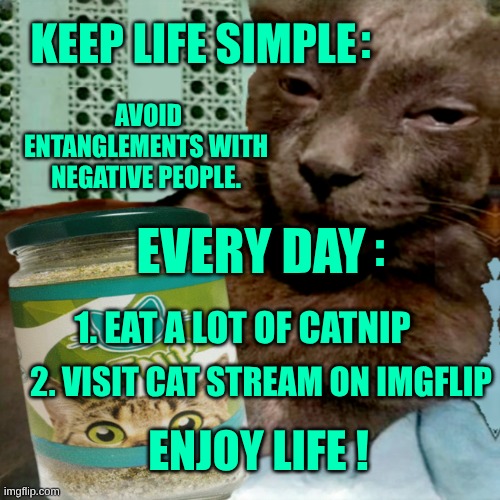 Keep It  Simple. Good Vibes. Cat Nip. Imgflip Cat stream. | :; KEEP LIFE SIMPLE; AVOID ENTANGLEMENTS WITH NEGATIVE PEOPLE. :; EVERY DAY; 1. EAT A LOT OF CATNIP; 2. VISIT CAT STREAM ON IMGFLIP; ENJOY LIFE ! | image tagged in keep it simple,keep it real,keep calm,catnip,cat stream,life lessons | made w/ Imgflip meme maker
