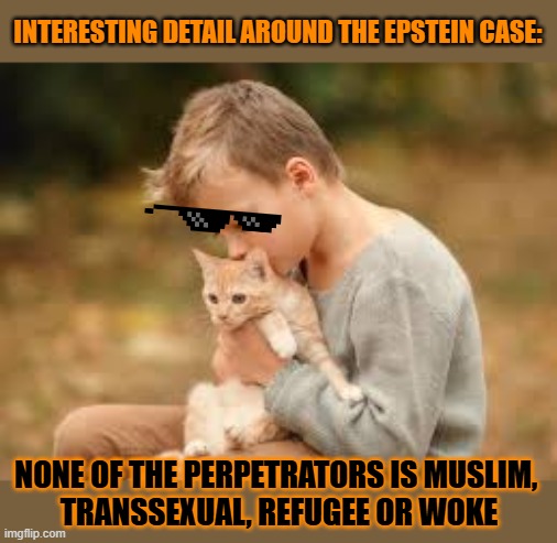 This #lolcat wonders how many people in the Epstein case are Muslim, refugee, transsexua or woke?l | INTERESTING DETAIL AROUND THE EPSTEIN CASE:; NONE OF THE PERPETRATORS IS MUSLIM, 
TRANSSEXUAL, REFUGEE OR WOKE | image tagged in woke,transphobic,muslim,refugees,jeffrey epstein,lolcat | made w/ Imgflip meme maker