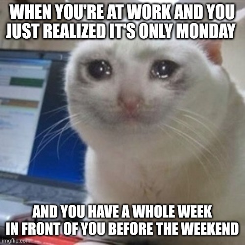 Monday's are hard... | WHEN YOU'RE AT WORK AND YOU JUST REALIZED IT'S ONLY MONDAY; AND YOU HAVE A WHOLE WEEK IN FRONT OF YOU BEFORE THE WEEKEND | image tagged in crying cat | made w/ Imgflip meme maker