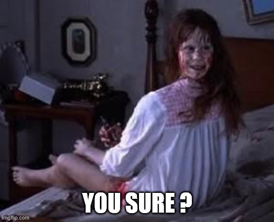 YOU SURE ? | image tagged in exorcist | made w/ Imgflip meme maker