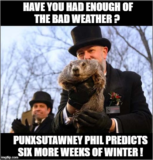 It's Groundhog Day Again ! | HAVE YOU HAD ENOUGH OF
THE BAD WEATHER ? PUNXSUTAWNEY PHIL PREDICTS SIX MORE WEEKS OF WINTER ! | image tagged in groundhog day,bad weather,prediction | made w/ Imgflip meme maker
