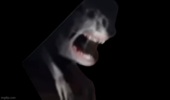 DijitalCat's Pet, Cuddles | image tagged in dijitalcat's pet cuddles | made w/ Imgflip meme maker