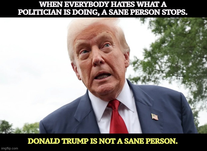 WHEN EVERYBODY HATES WHAT A POLITICIAN IS DOING, A SANE PERSON STOPS. DONALD TRUMP IS NOT A SANE PERSON. | image tagged in trump,unpopular,mistakes,sanity,insane,crazy | made w/ Imgflip meme maker