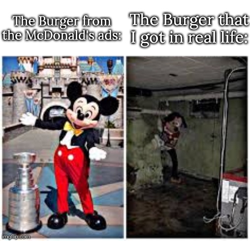 So that was a McFricking lie. | The Burger from the McDonald's ads:; The Burger that I got in real life: | image tagged in mickey mouse in disneyland,burger,ads | made w/ Imgflip meme maker