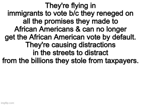 Thats the truth | They're flying in immigrants to vote b/c they reneged on all the promises they made to African Americans & can no longer get the African American vote by default.
They're causing distractions in the streets to distract from the billions they stole from taxpayers. | image tagged in memes,funny,politics,political meme,true | made w/ Imgflip meme maker