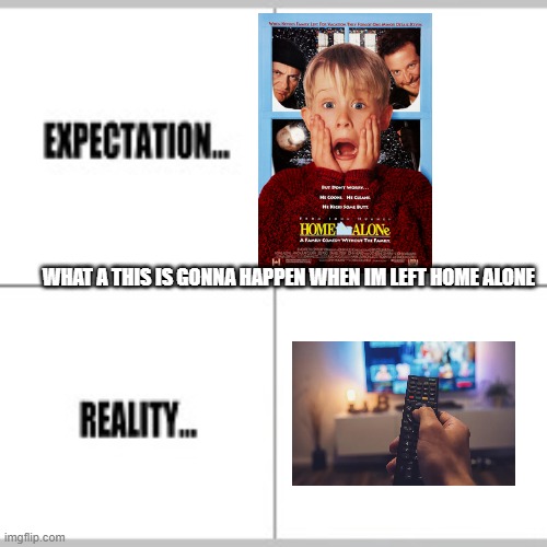 fr | WHAT A THIS IS GONNA HAPPEN WHEN IM LEFT HOME ALONE | image tagged in expectation vs reality,fun | made w/ Imgflip meme maker