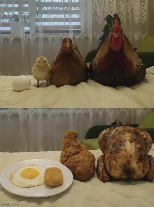 Your reposts bore me, Here's something. Original | made w/ Imgflip meme maker