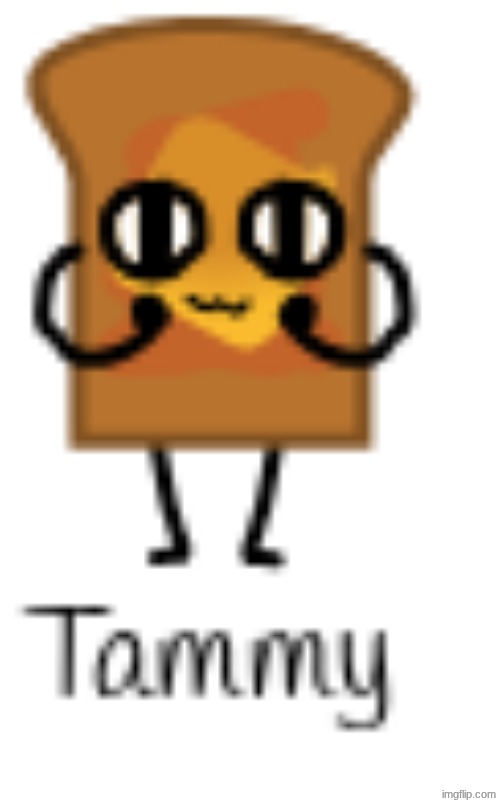 Everything about Tammy | made w/ Imgflip meme maker