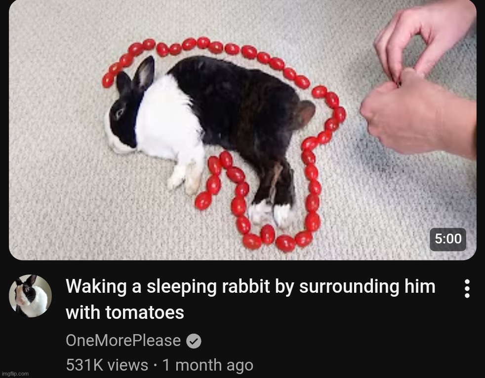 a must-watch | made w/ Imgflip meme maker