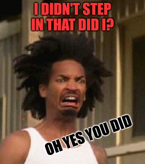 Oh No | I DIDN'T STEP IN THAT DID I? OH YES YOU DID | image tagged in disgusted face,kewlew | made w/ Imgflip meme maker