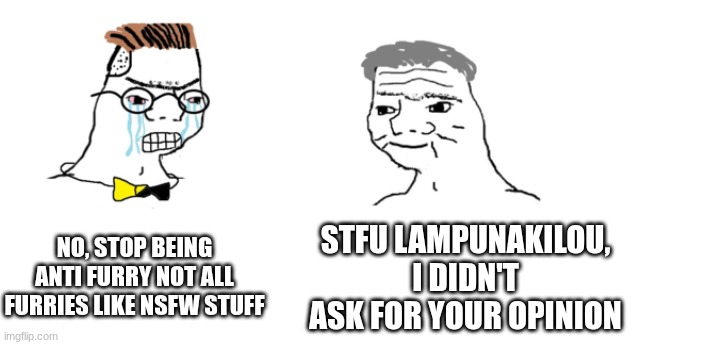 Context is this furry prick commented on one of my anti furry memes so this is my message to him/her/them/moron | NO, STOP BEING ANTI FURRY NOT ALL FURRIES LIKE NSFW STUFF; STFU LAMPUNAKILOU, I DIDN'T ASK FOR YOUR OPINION | image tagged in nooo haha go brrr | made w/ Imgflip meme maker